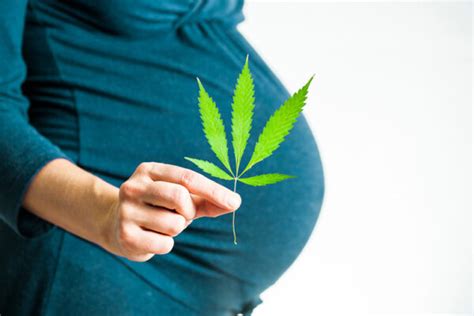 Cannabis, the pregnant woman and her child: weeding out the。